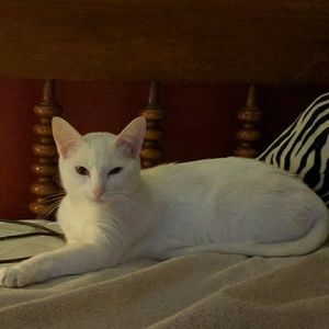 Meet your Posher, Jessica