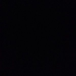 Meet your Posher, Janice