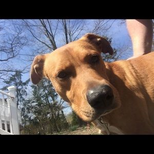 Meet your Posher, Scott