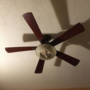 Meet your Posher, Anne