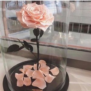 Meet your Posher, Crystal