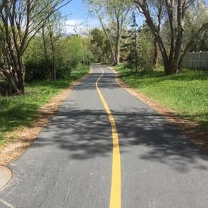 Meet your Posher, Paulette