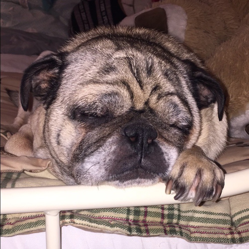 Meet your Posher, Steph