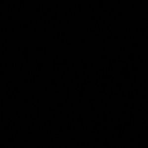 Meet your Posher, Warda