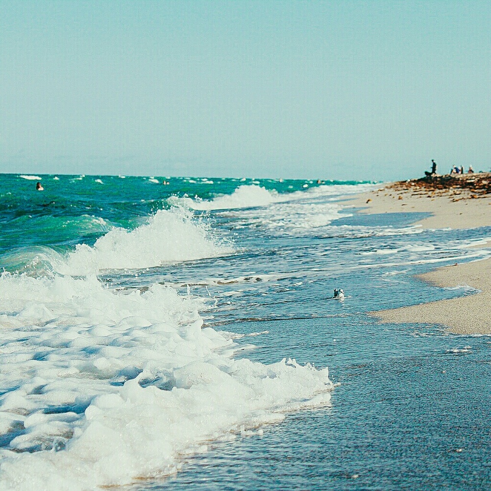 Meet your Posher, Lucy