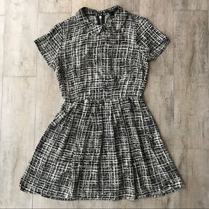 Mini Collar Dress