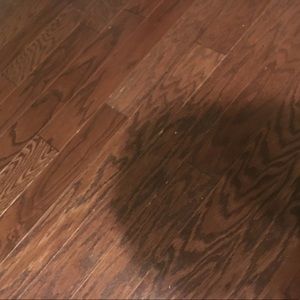 Meet your Posher, Jesse