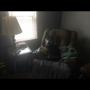 Meet your Posher, Kevin