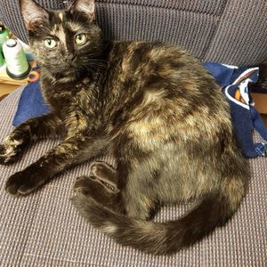 Meet your Posher, Barbara