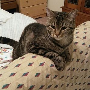 Meet your Posher, Tonia