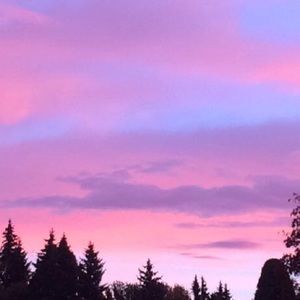 Meet your Posher, Harley