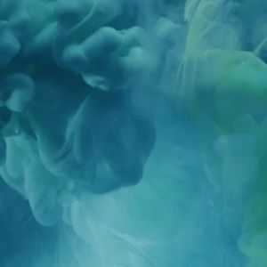 Meet your Posher, Delancey