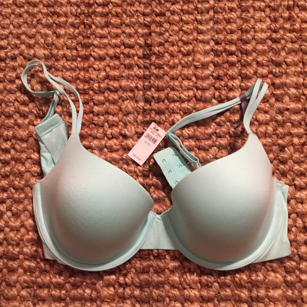 36D NWT Sunnie Demi Aerie bra