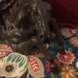 Meet your Posher, Eva