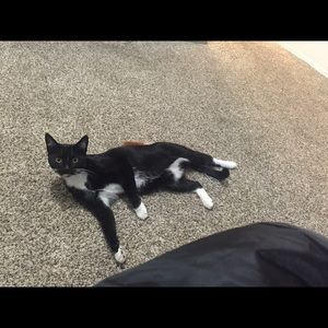 Meet your Posher, Ruth