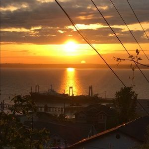 Meet your Posher, Buddy