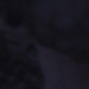 Meet your Posher, Saul