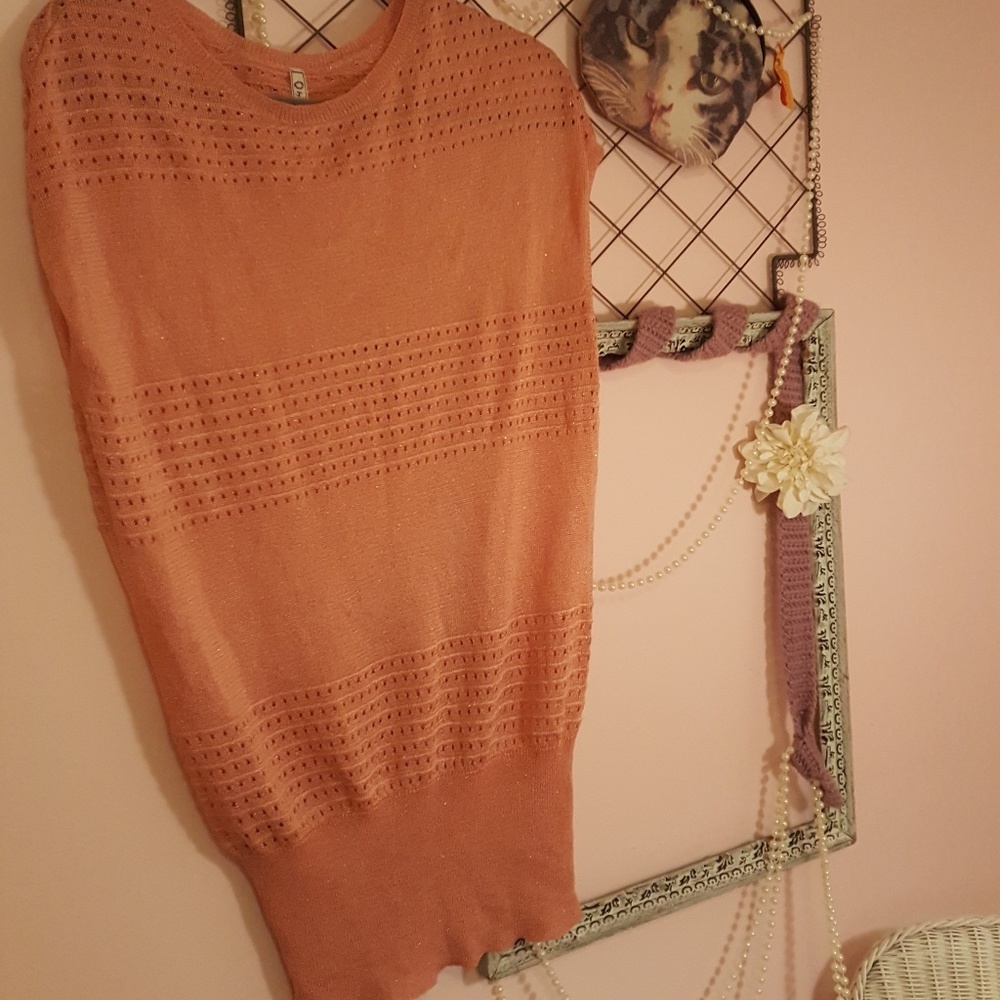 Peach Shimmery Semi-Sheer Dress from Anthropologie