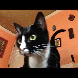 Meet your Posher, Nancy