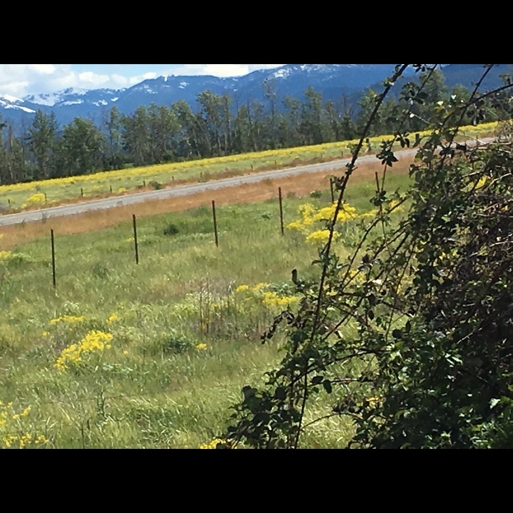 Meet your Posher, Cathy