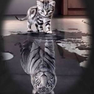 Meet your Posher, Traci