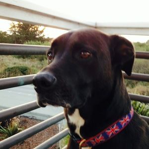 Meet your Posher, Evan