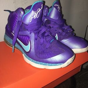 Lebron 9 "Summit lake Hornet"