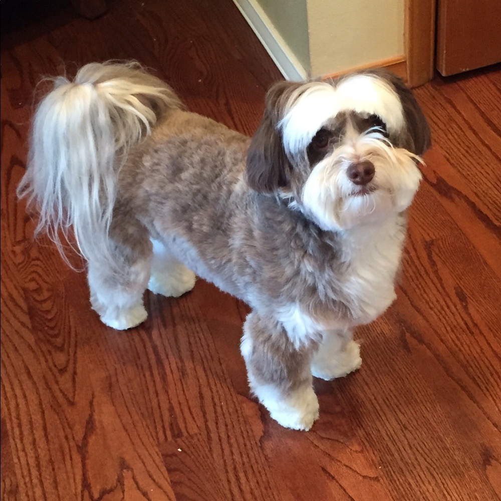 Meet your Posher, Ellen