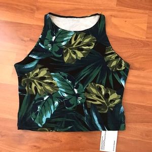 American Apparel Palm crop