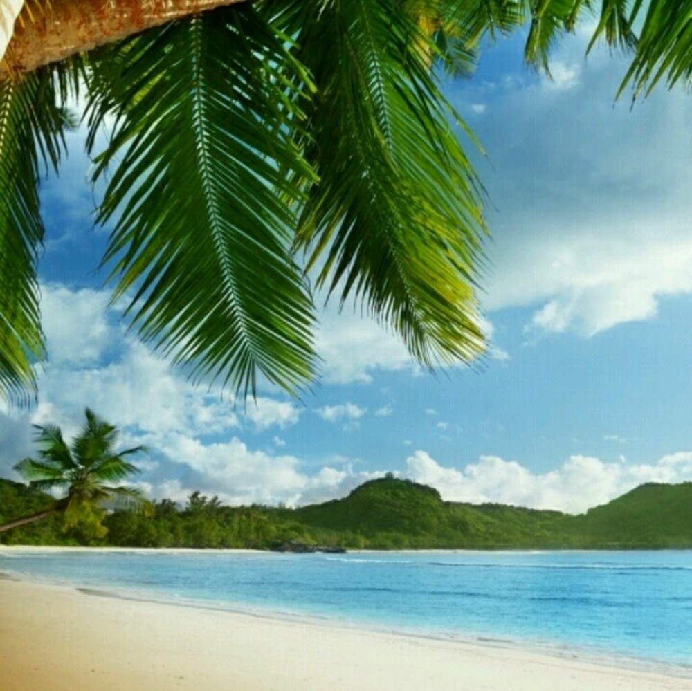 Meet your Posher, Sonja