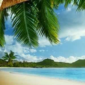 Meet your Posher, Sonja