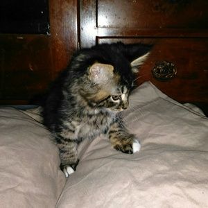 Meet your Posher, Tina