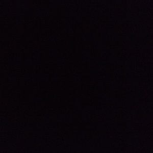 Meet your Posher, Tyshayla