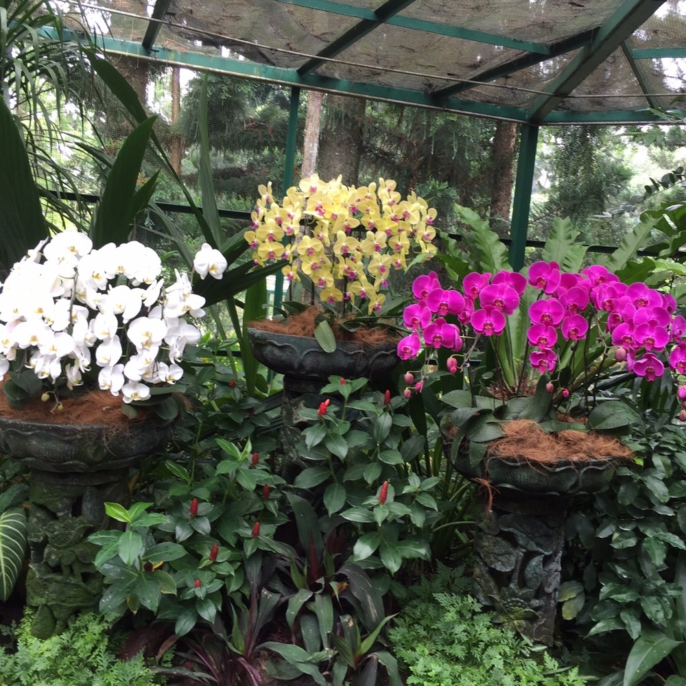 Meet your Posher, Nell