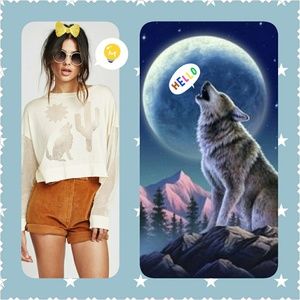 Wildfox "Nightowl" Sweater