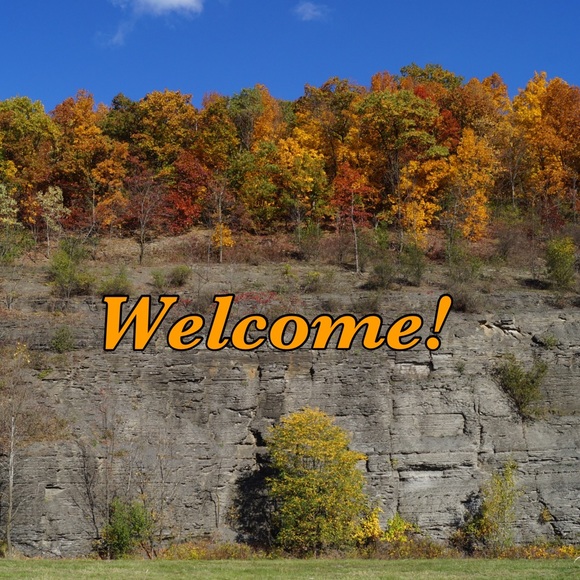 PLEASE READ - Picture 4 of 8