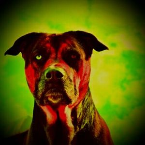 Meet your Posher, Evan