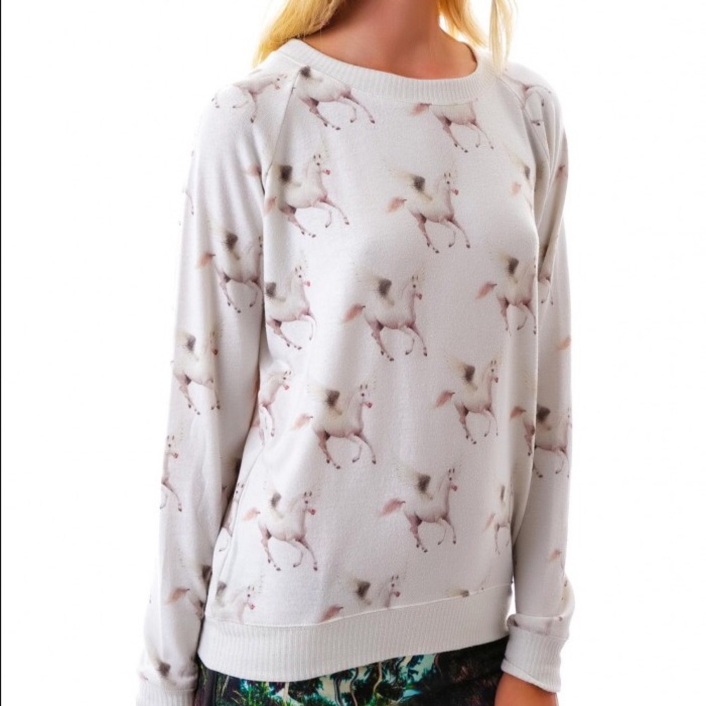 Pegasus sweater