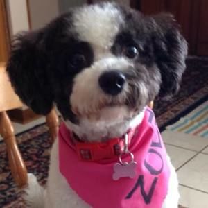 Meet your Posher, Grace