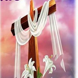 Meet your Posher, Reyna