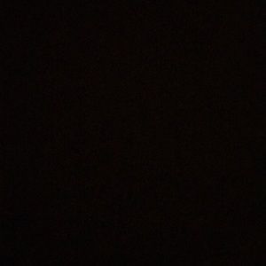 Meet your Posher, Maddie