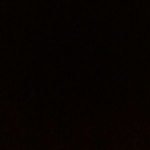 Meet your Posher, Bertha