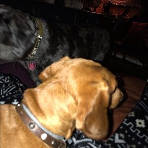 Meet your Posher, Betty