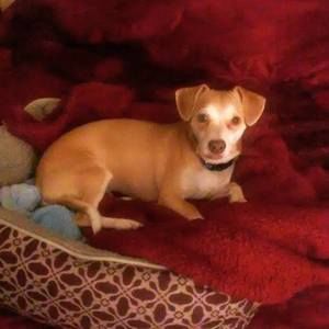 Meet your Posher, Brooke