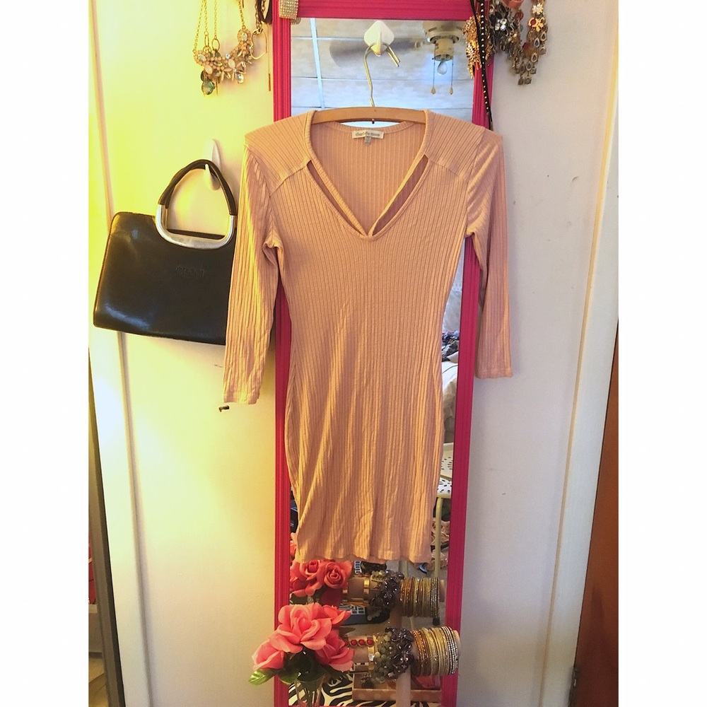 Charlotte Russe Body Con Blush/Light Pink Dress