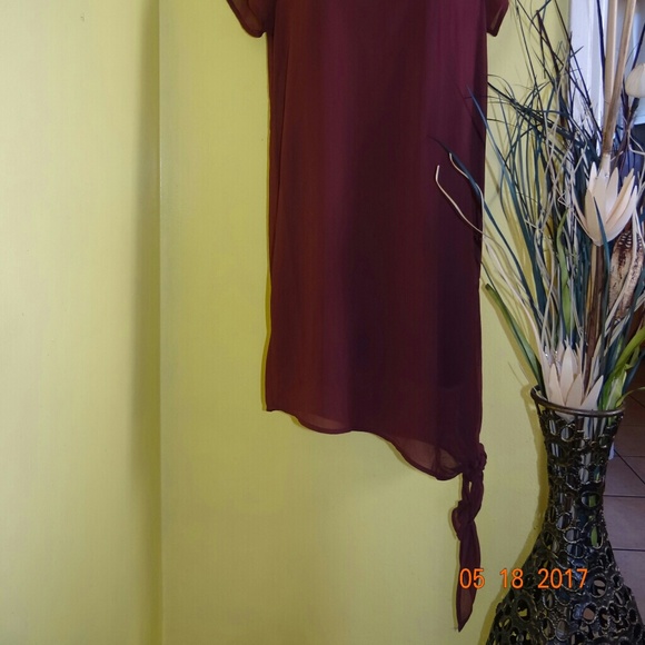 Forever 21 Burgundy Sheer Dress - Picture 3 of 6