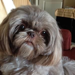 Meet your Posher, Joanne