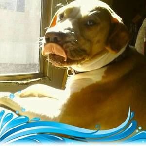 Meet your Posher, Angie