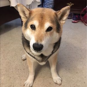 Meet your Posher, Kristina