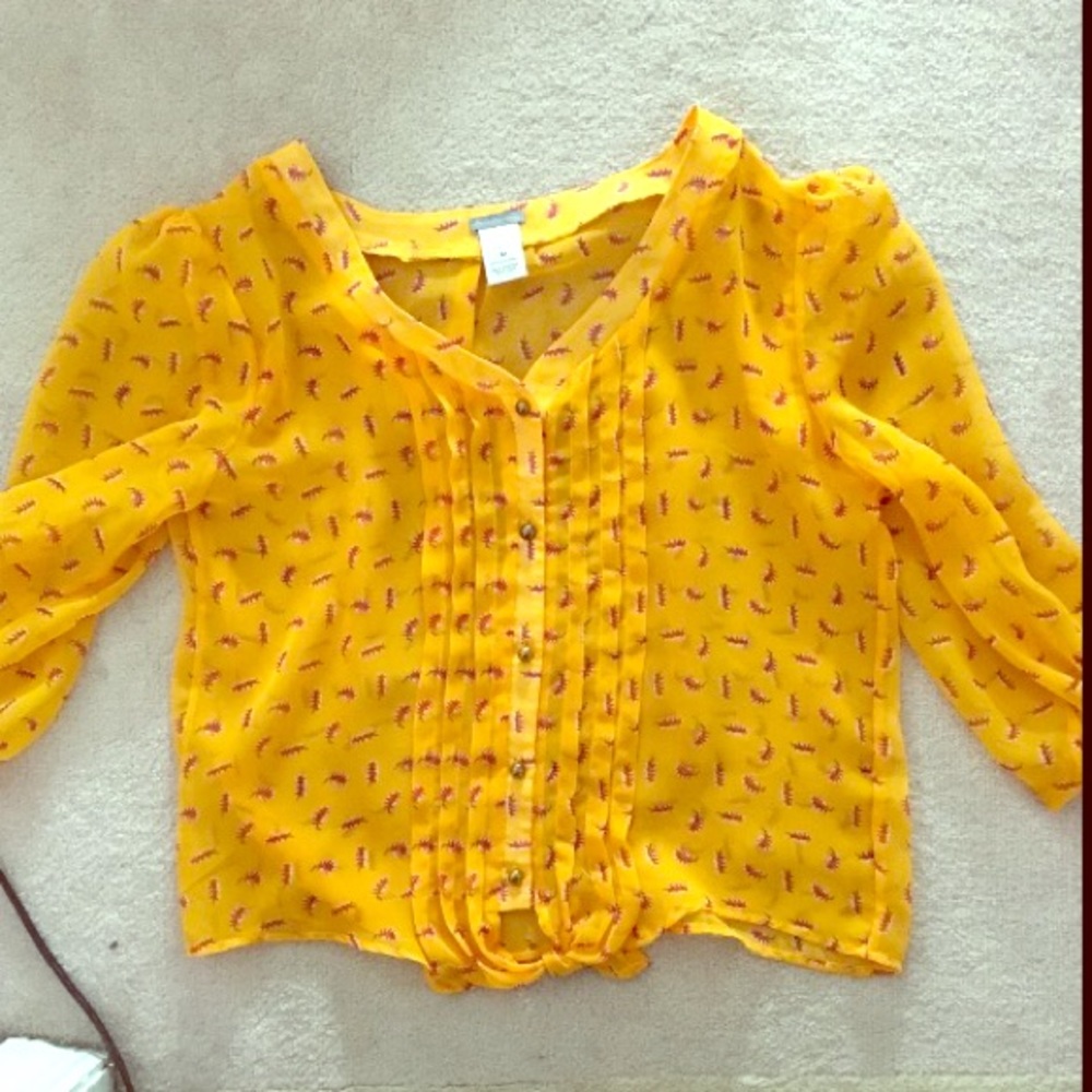 Charolette Rouse Crop Top